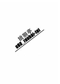 第19页图