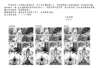 第215頁圖