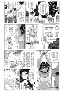 第143頁圖