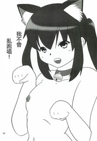 第39页图