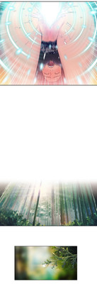 第43頁圖