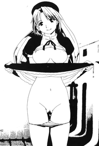第43頁圖