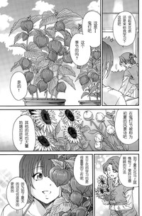 第115頁圖