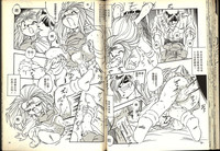 第35頁圖