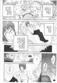第43頁圖