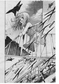 第75頁圖