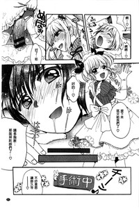 第203頁圖