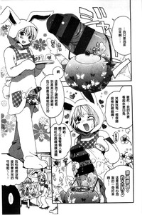 第211頁圖