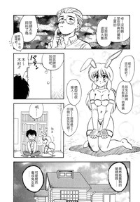 第75頁圖