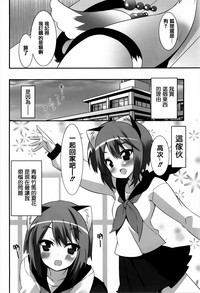 第91頁圖