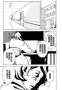第175頁圖