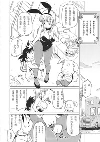 第19頁圖