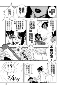 第43頁圖