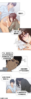 第511頁圖
