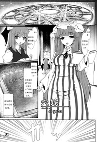 第31頁圖