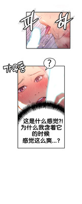 第55頁圖