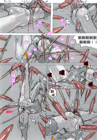 第43頁圖