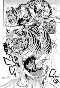 第11页图