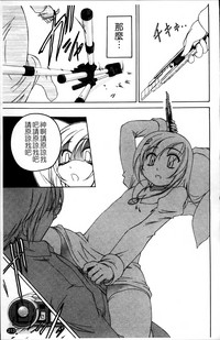 第219頁圖