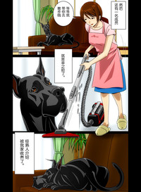 第11頁圖