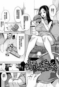 第195頁圖