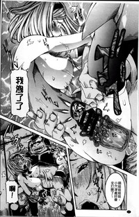 第43頁圖