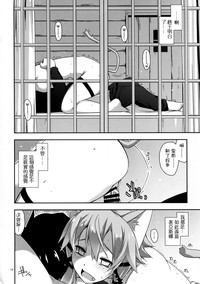 第19頁圖